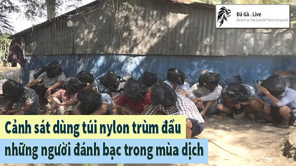 Những người tham gia đá gà bị bắt quả tang. Ảnh: Anh Minh.