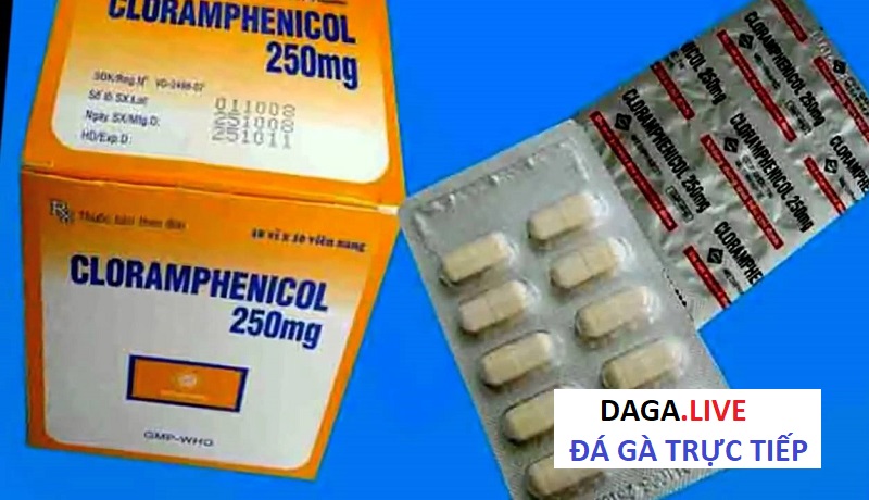 Dòng thuốc công cho gà đá super extra nổi tiếng..