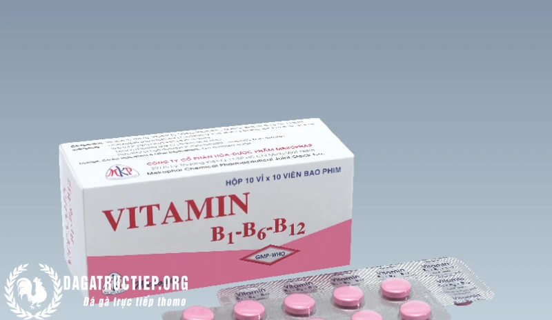 Vitamin B1 Có Tác Dụng Gì Cho Gà