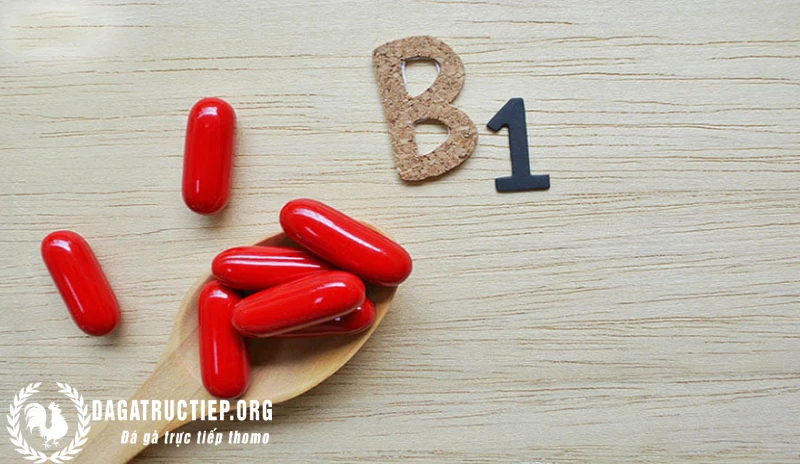 Vitamin B1 giúp gà khỏe mạnh và phát triển tốt hơn