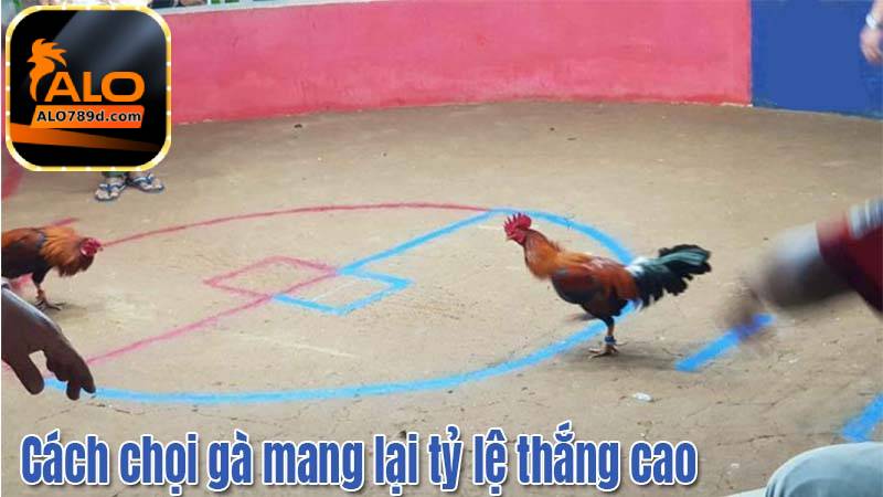 Nguyên tắc quản lý ngân sách là chìa khóa của mọi hoạt động cá cược đá gà mạng