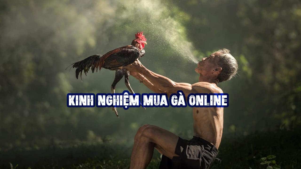 KINH NGHIỆM MUA GÀ ONLINE