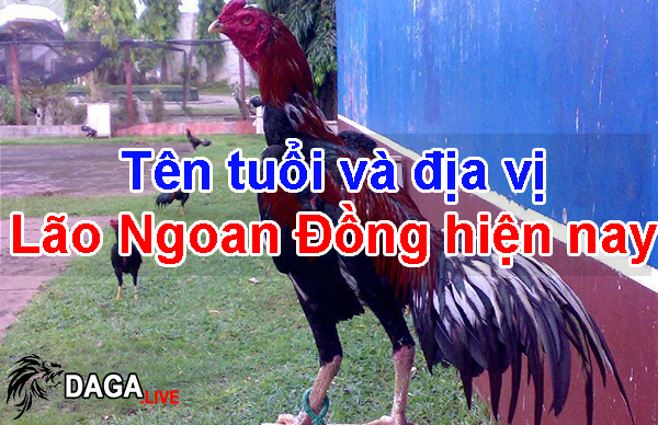 Ten-tuoi-va-dia-vi-Lao-Ngoan-Dong-hien-nay