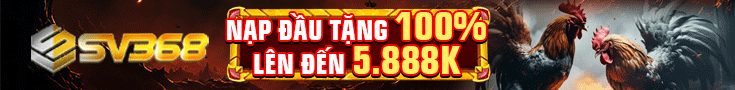 banner-da-ga-truc-tiep-thomo