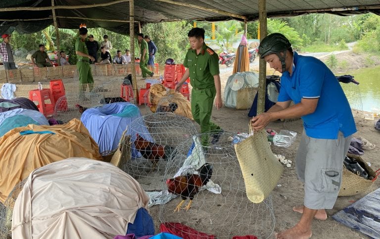 triệt phá sới gà huyện tân hưng