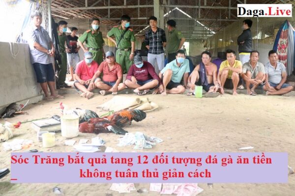 Bắt đá gà