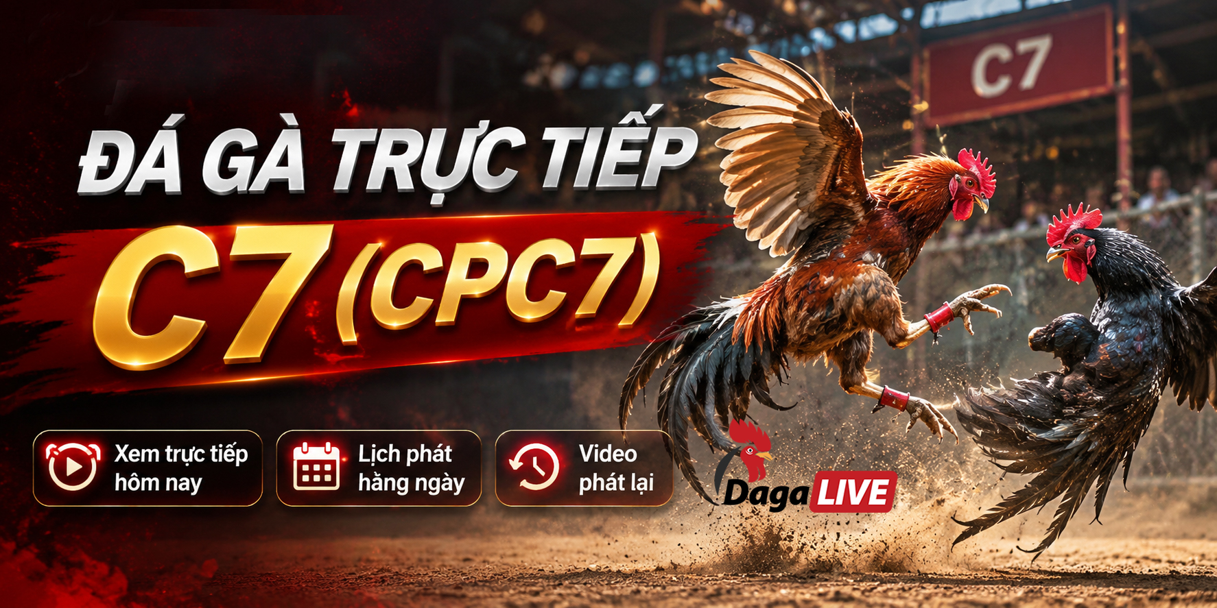 da-ga-truc-tiep-c7-cpc7