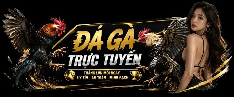 da-ga-truc-tiep-la-gi