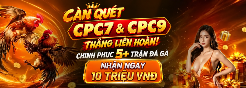 da-ga-truc-tiep-thomo-hom-nay-c1-c2-c3-c4-c5-c7-c9-fg3-dagalive