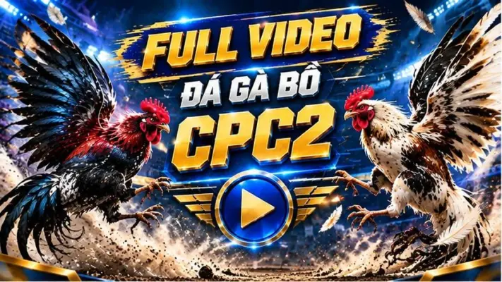 video đá gà cpc2 ngày 26/10/2026