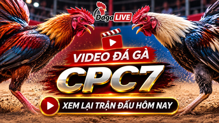 full-video-da-ga-cpc7-ngay-28-10-2026
