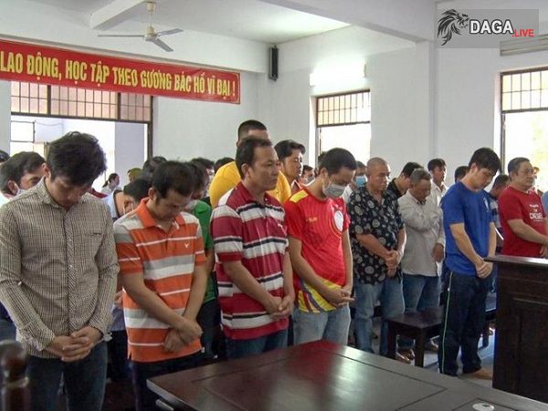 Hậu Giang: Xét xử 39 bị cáo đánh bạc dưới hình thức đá gà