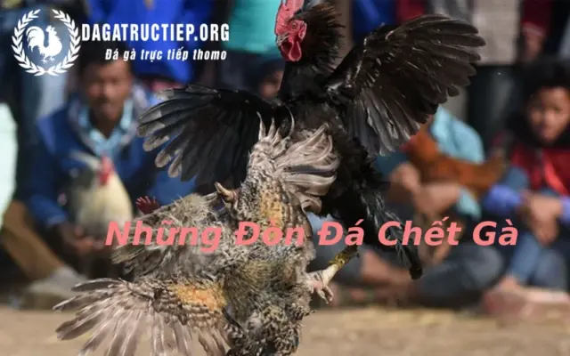 những đòn đá chết gà